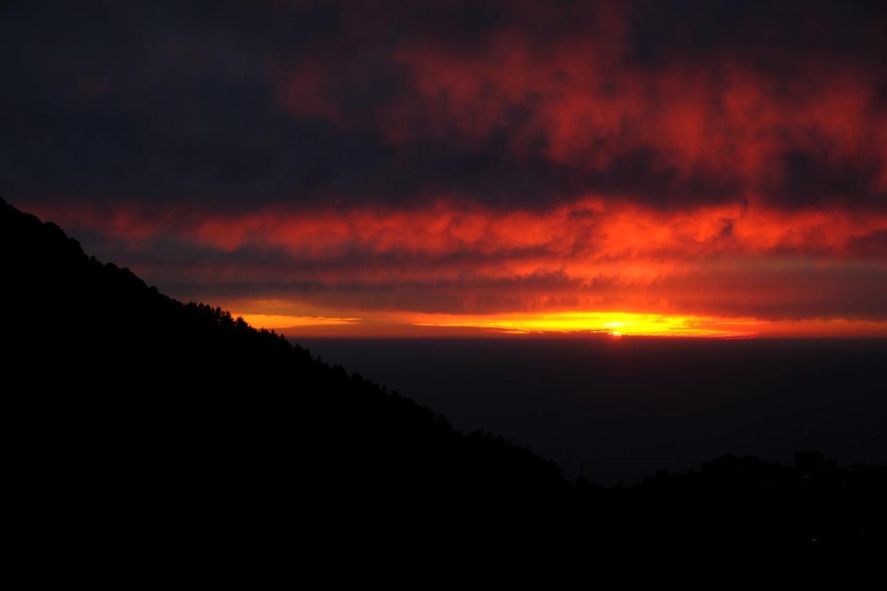 Hostel Mitra Mcleodganj McLeod Ganj Exteriér fotografie